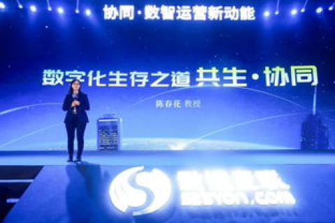 玖零互联，革新数字化服务，引领企业高效互联新纪元
