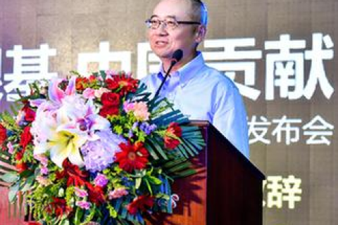 解析政府部门网站的域名代码规定，构建信任与透明的数字治理平台
