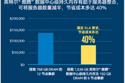 赛腾网品质评测全解析，网络冲浪的可靠伴侣