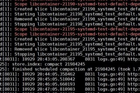 /etc/default/lxc-net configuration file for mycontainer