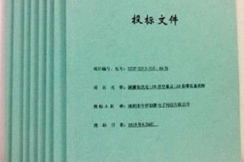 归国外公司所有的域名在国内备案的可行性探讨