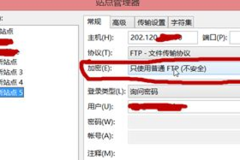 免费虚拟主机与FTP服务，构建个人或小型企业网站的理想选择