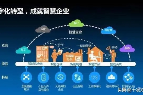 西拓数据，以技术创新为驱动，筑基数字化转型新时代