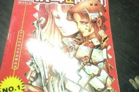 星河速网，探索极速互联网服务的优势与考量