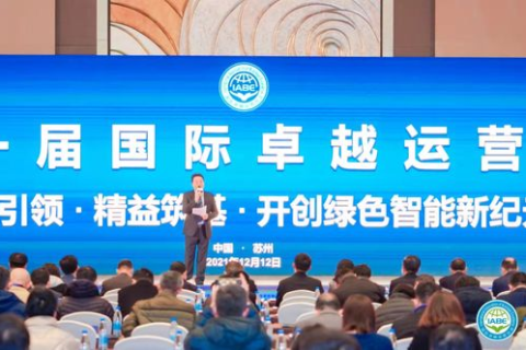 深度解析，八闽网络科技的卓越表现与行业洞察