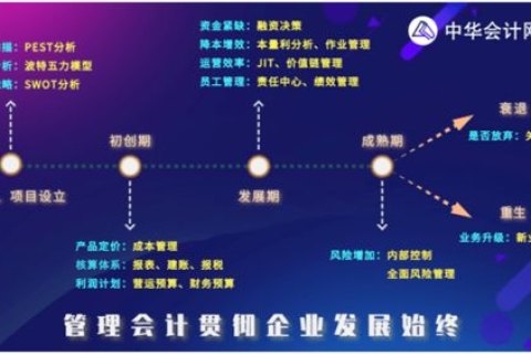 审视皇冠互联，专业能力、客户反馈与业务价值