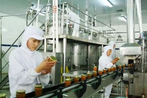 请问E动的虚拟主机怎么样？深度解析与评测