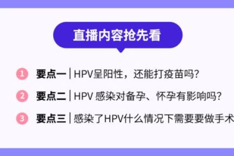 域名禁止解析怎么办，全面解析与应对策略