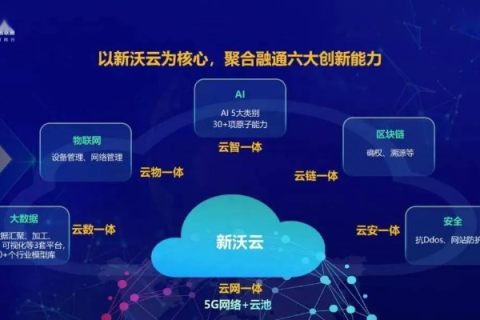 新云互联，重塑数字化转型之路的科技先锋