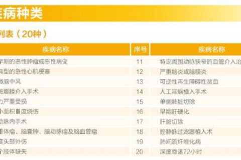 少澄互联究竟如何？分析这家公司的优势与不足