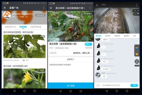 快鱼云平台，打造高效、安全的云端解决方案
