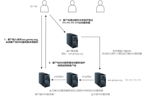 理论上既然公网IP可以直接访问，那么没有域名是否也可以发布网站？