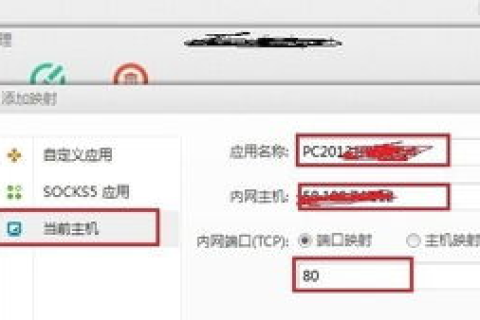 外网访问本地局域名的IP如何实现