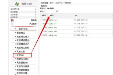 买了一个国外域名但是没有DNS购买窗口不能解析，求解析方法