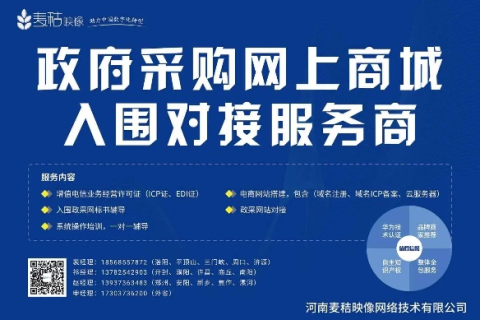 域名代码规定中的GOV，政府网站的数字身份与公共服务的数字化转型