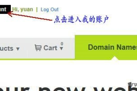 在淘宝上找人在Godaddy代注册域名，除了比自己注册优惠外，安全性如何？