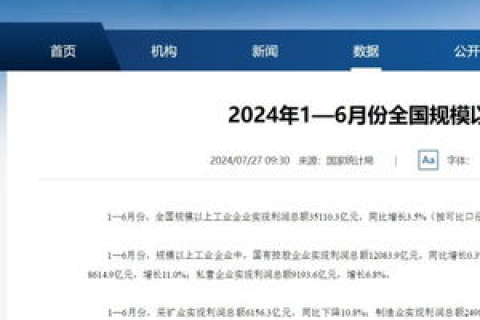 双域名访问独立网站，实现技术与配置指南