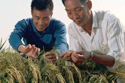 骑士科技，重塑未来生活的力量