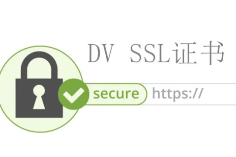 申请SSL证书，全面指南与DNS域名验证操作详解