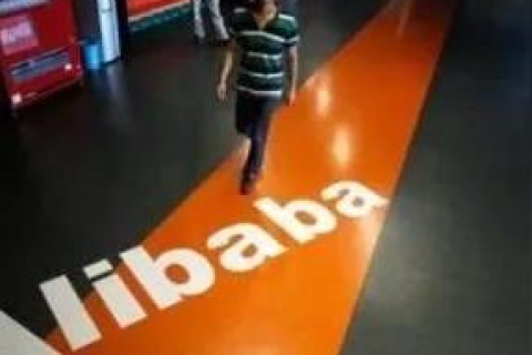 如何查看别人域名的注册时间，全面指南