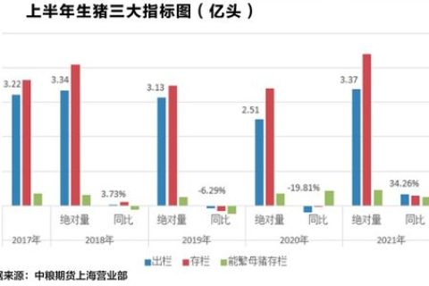 快网域名不能转出，背后的原因与影响分析