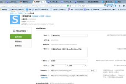 使注册的中文域名直接进入网站，解决注册域名无法访问网站的方法