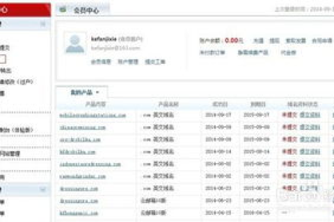 如何申请国际域名，详细步骤与注意事项