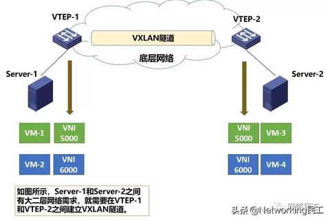深度评测，GetVM虚拟化服务的性能、用户反馈与性价比分析