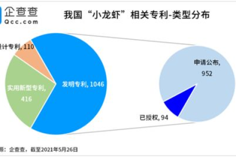 纳网互联，升级数字化时代的企业网络服务新体验