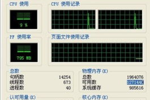 网站空间CPU限制3，深度解析与影响