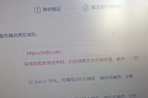 网络地址域名可以使用中文吗？
