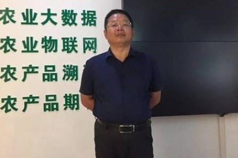 数据中国官网，开启智慧决策新时代