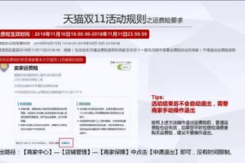 天猫商城能否使用独立域名？解析与指南