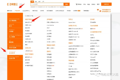 ee域名注册价格及优势解析