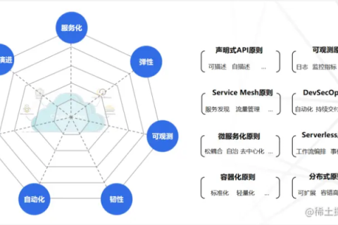 探索AppNode官网，构建云原生应用的未来生态系统