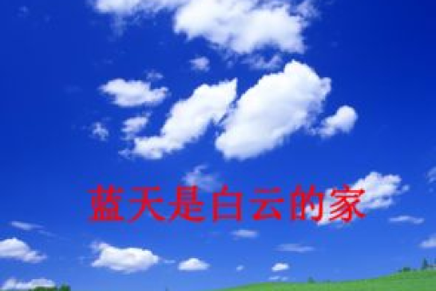 小鸟云，重塑云端协作，开启高效办公新时代