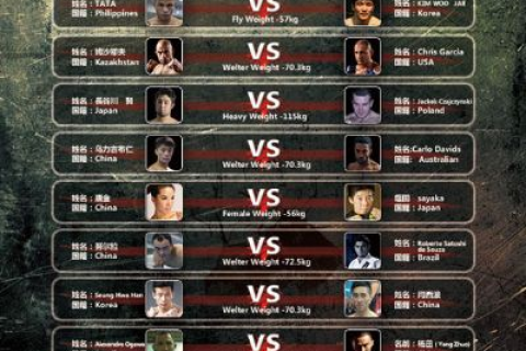 武林数据，解锁现代格斗数据分析新纪元
