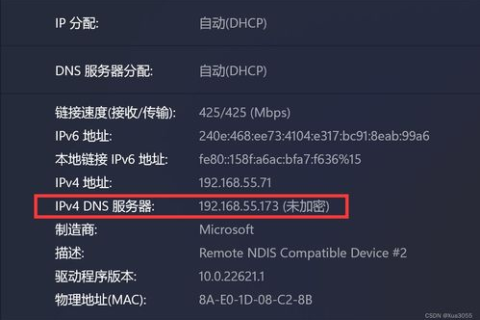 Info vs Biz，哪个域名更适合您的业务？