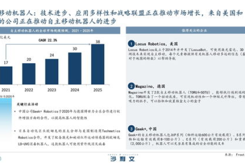 中文域名管理办法，构建网络新生态的基石