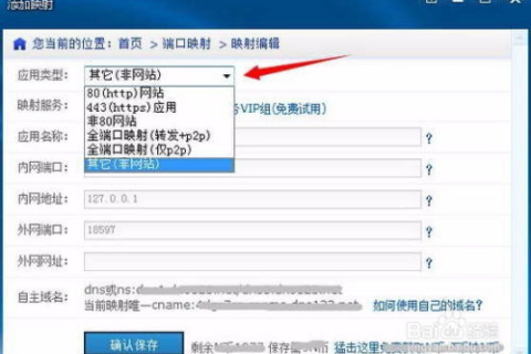 怎样申请注册免费动态域名，详细步骤与推荐平台