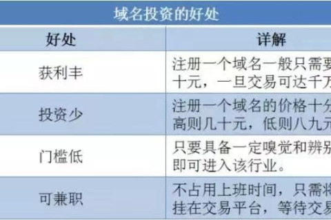 再来说说投资域名到底有多赚钱