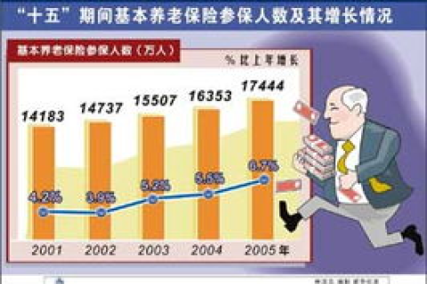 跨越域名转移障碍，重塑品牌在线之旅