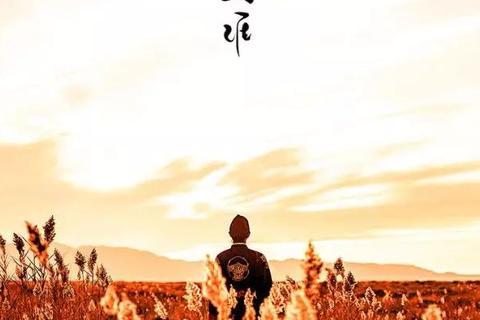 上海众生网络，创新引领未来
