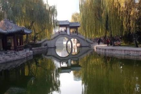 通达网络官网—打造智能互联的高效桥梁