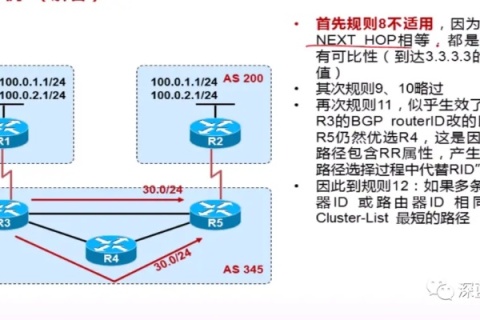 99BGP官网，打造高效网络连接的稳定选择