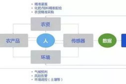 联合英拓网络官网，打造更效率与专业性的数字化解决方案