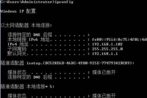 如何查看本机域名，详细步骤与实用技巧