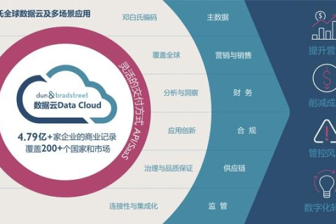 乐优在线云主机，重塑云端计算，引领数字化时代新风尚