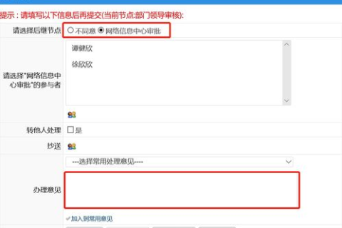 如何查看域名审核是否通过，全面指南