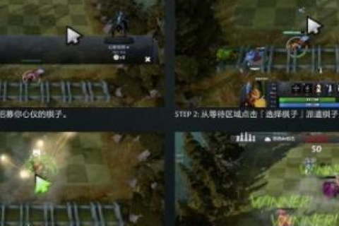 之后的网站服务器是否可以转到国内独立服务器和公共服务器哪个好？